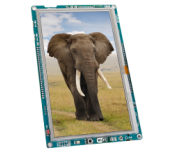 mikroMedia 7" for STM32F4