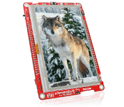 mikroMedia Plus for PIC32