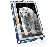 mikroMedia Plus for STM32F7
