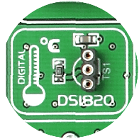 DS1820 Temp Sensor