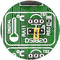 DS1820 Temp Sensor