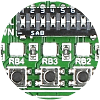 SMD LEDs
