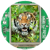 TFT Color Display 320x240 with Touch Screen TFT Color Display 320x240 with Touch Screen