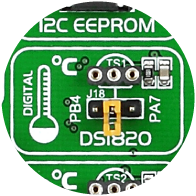 DS1820 Temp Sensor