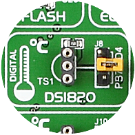 DS1820 Temp Sensor