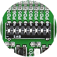 Tri-state DIP switches
