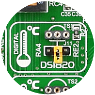DS1820 Temp Sensor DS1820 Temp Sensor