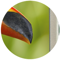 TFT with Touch Panel