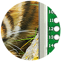 TFT with Touch Panel