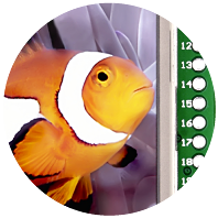 TFT with Touch Panel